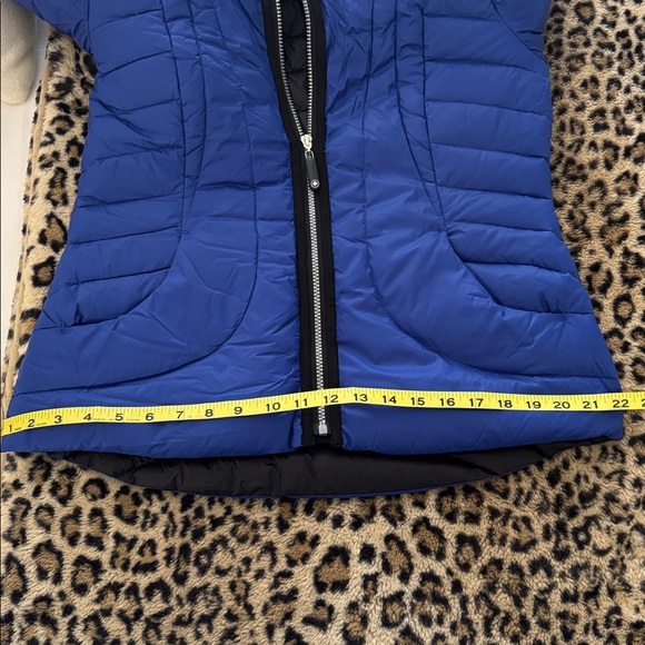 Royal blue, large Halifax, traders, winter jacket - Picture 4 of 4